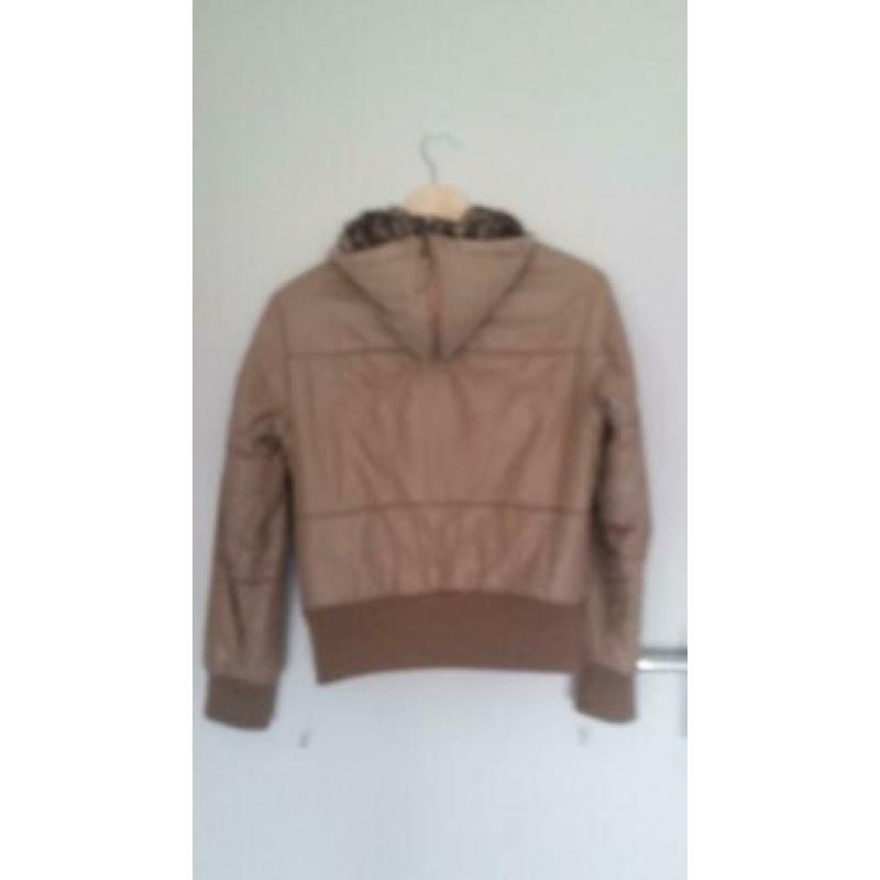 Een beige korte winter-jas/jack met een tijger capuchon.