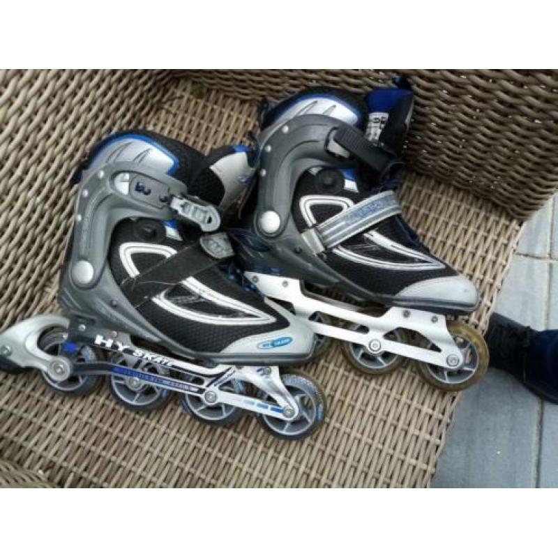 Skeelers