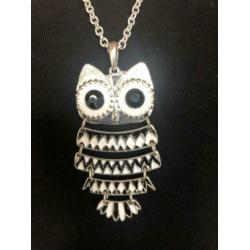 Mooi ketting. Goed als nieuw.