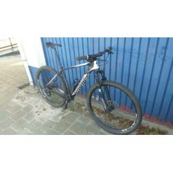 Specialized Stumpjumper 29er Carbon