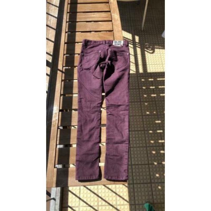 Blue rebel skinny chestnut 140