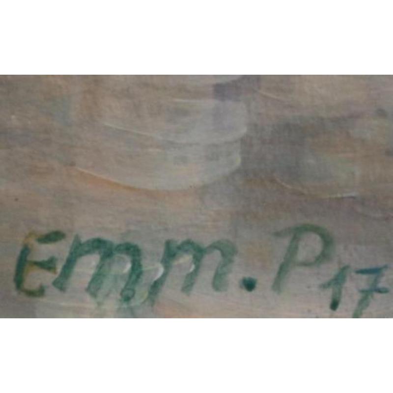 Emmanuel P., de treinbegeleider