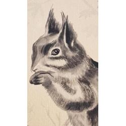 Tekening met aquarel en grafiet eekhoorn Aart Verwey 1966.