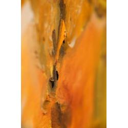 origineel groot Olieverf schilderij