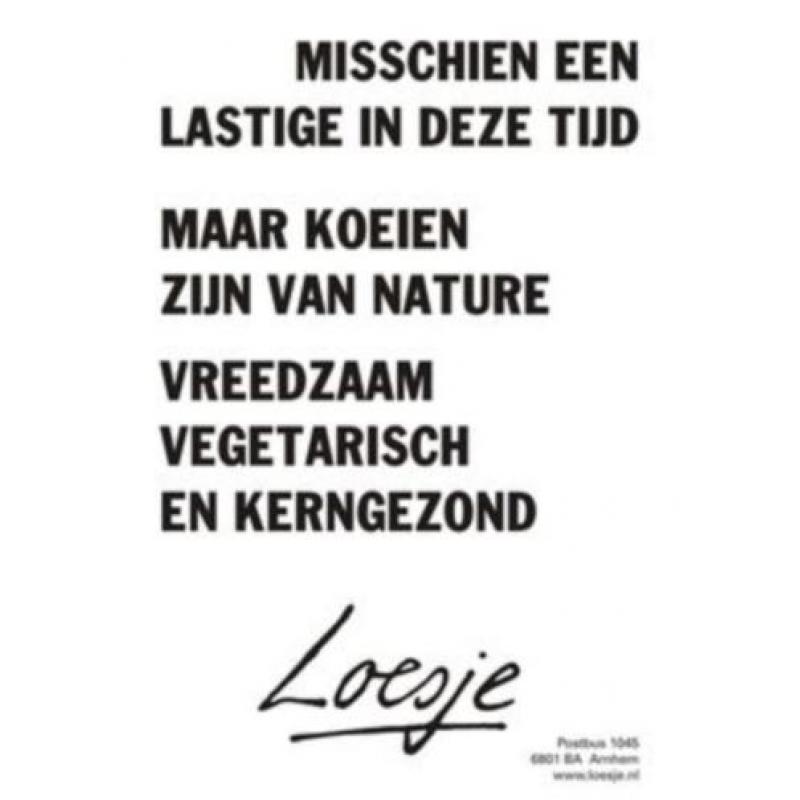 Advies/oproep: 10 redenen om geen vlees te eten