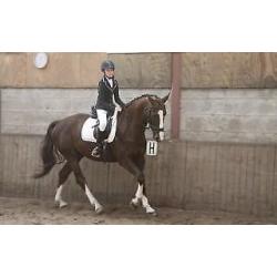 Enthousiaste lieve ruin