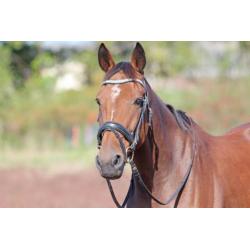 Lieve 11-jarige ruin