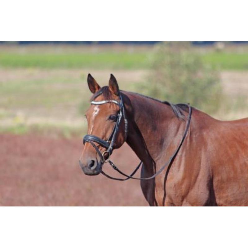 Lieve 11-jarige ruin