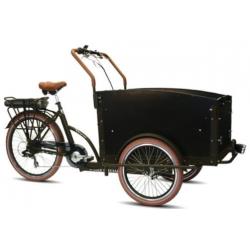 Hardenberg: Troy elektrische bakfiets driewieler elektrisch