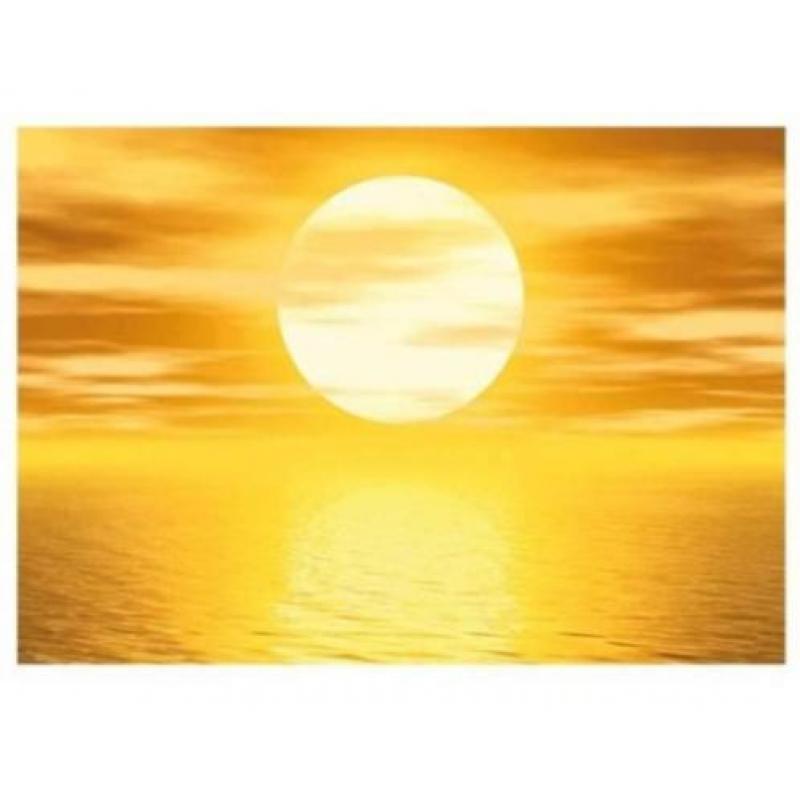 aanbieding Fotobehang 400x280cm golden sun voor €53