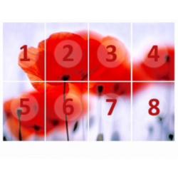 Fotobehang 12 magical poppies NU;€25