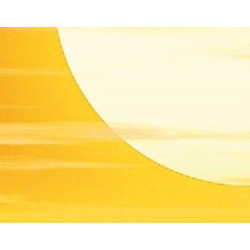 aanbieding Fotobehang 400x280cm golden sun voor €53