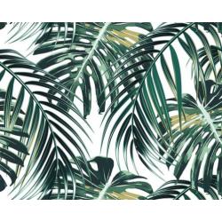 Palmblad behang Tropical Leaves