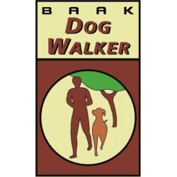 DogWalker wandelschoen "LINES" Styled by Grisport maat 41