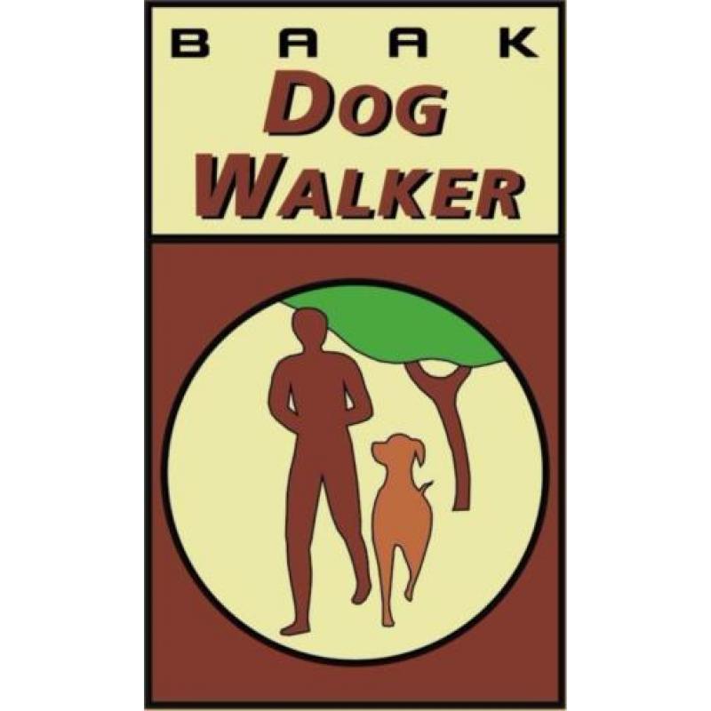 DogWalker wandelschoen "LINES" Styled by Grisport maat 41