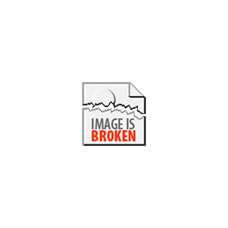 Originele pagina tekening Professor Palmboom Dick Briel